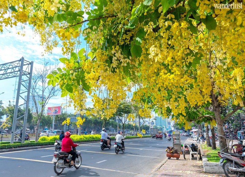 Wanderlust Tips Magazine | April: An exquisite floral interlude across Vietnam