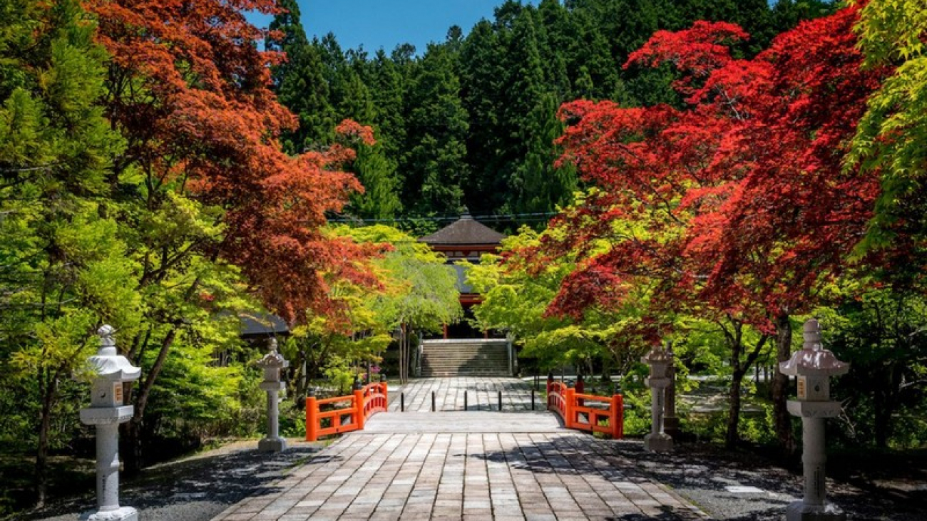 Wanderlust Tips Magazine | The 6 best temple hotels in Japan for solitude seekers