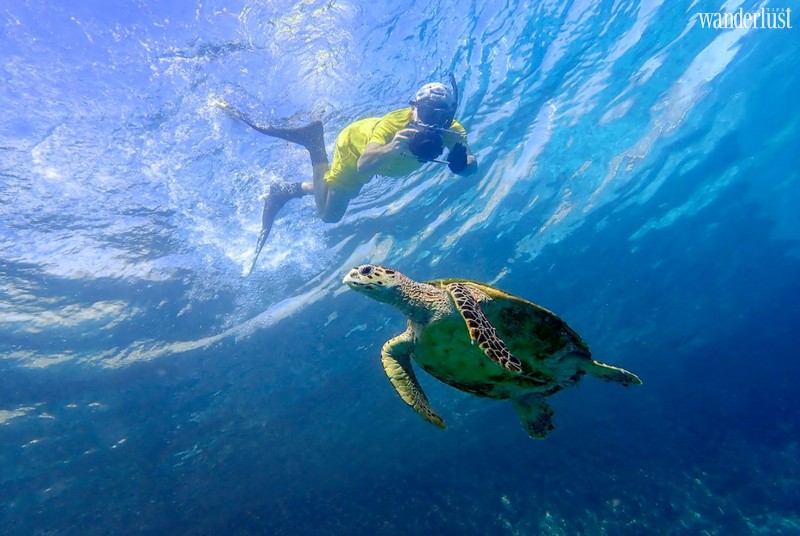 Wanderlust Tips Magazine | The 7 most amazing wildlife experiences in the Maldives