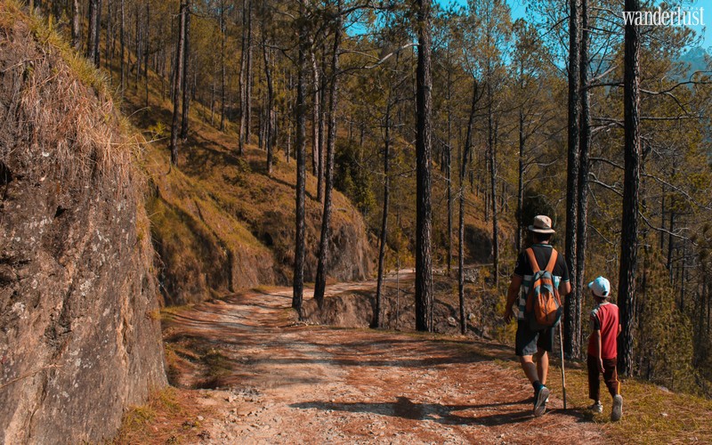 Wanderlust Tips Magazine | How to enjoy safe hiking with kids