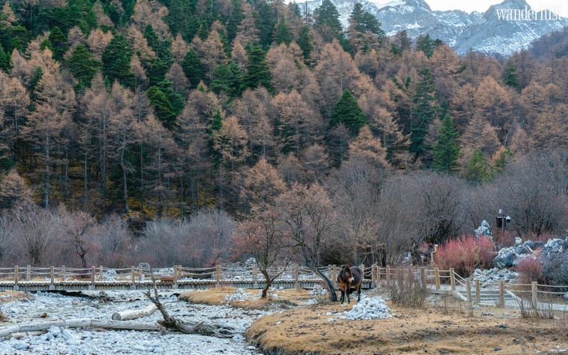 Wanderlust Tips Magazine | Looking for the last Shangri-La in Daocheng Yading, China