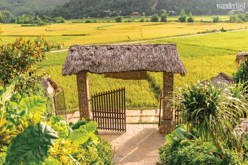 Wanderlust Tips Magazine | Moments in Vietnam