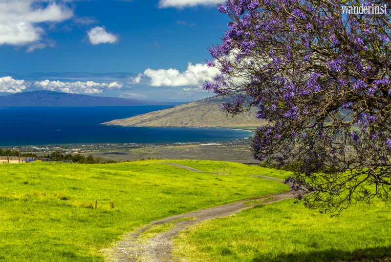 Wanderlust Tips Magazine | The best destinations in Hawaii where you may love to go