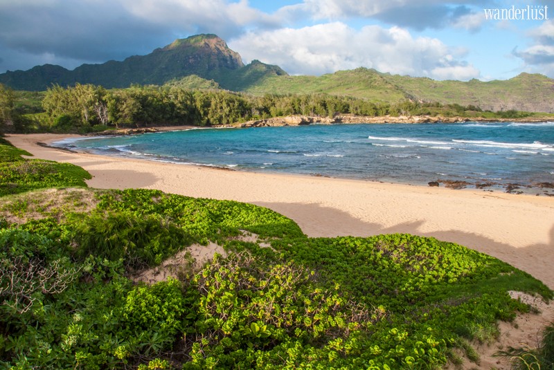 Wanderlust Tips Magazine | The best destinations in Hawaii where you may love to go