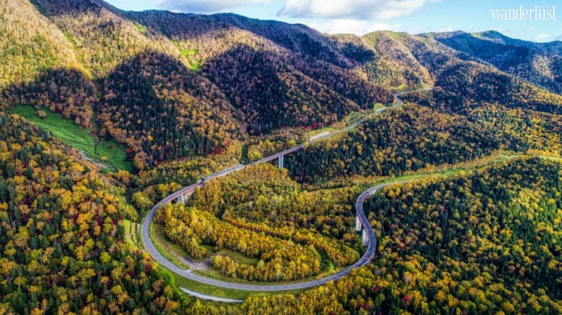 Wanderlust Tips Magazine | The most scenic road trips in Japan that will stoke your wanderlust