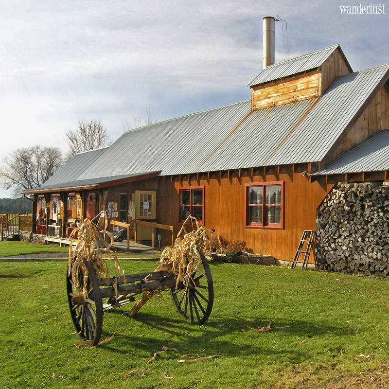 Wanderlust Tips Magazine | Montpelier, Vermont: A paradise for maple syrup lovers