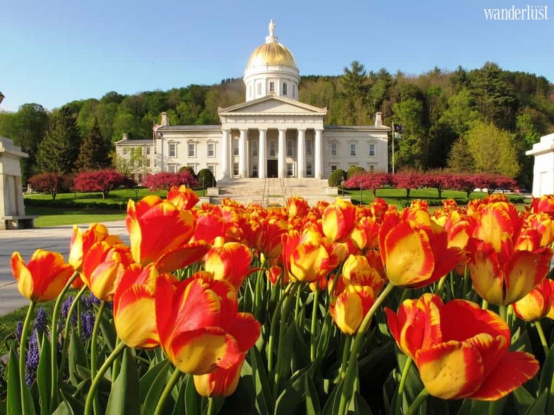 Wanderlust Tips Magazine | Montpelier, Vermont: A paradise for maple syrup lovers