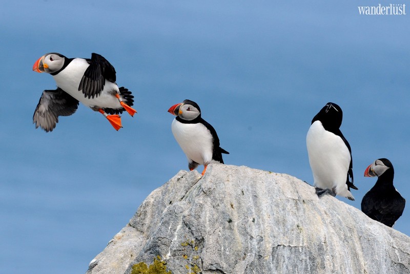 Wanderlust Tips Magazine | The 7 most stunning coastal towns in Maine, USA