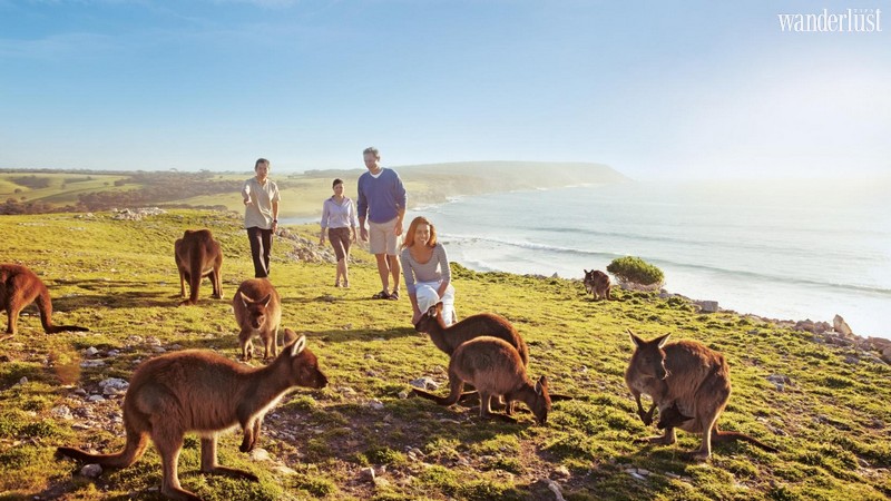 Wanderlust Tips Magazine | The 7 best Australia's island getaways