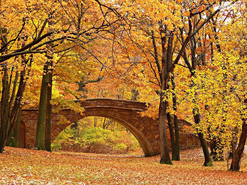 Wanderlust Tips Magazine - Falling for fall in Boston: 5 best spots for leaf-peeping lovers