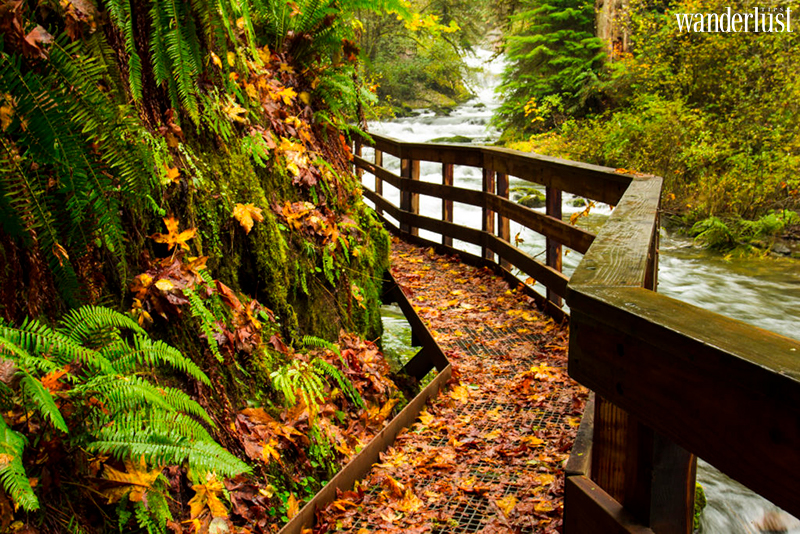 Wanderlust Tips Magazine | Oregon this fall: Top 5 Coolest outdoor adventures to enjoy