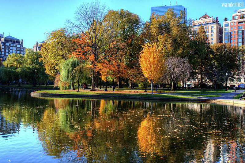 Wanderlust Tips Magazine - Falling for fall in Boston: 5 best spots for leaf-peeping lovers