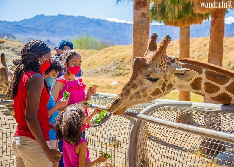 Wanderlust Tips | Day in the wildlife: A family trip to Palm Desert Living Desert Zoo and Gardens