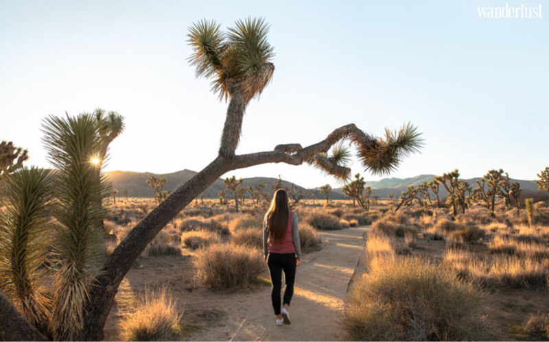 Waderlust Tips Magazine - Top 5 stress-releasing activities for a fall Palm Springs hideaway