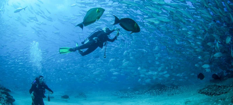 Wanderlust Tips | Explore Los Cabos marine life with 5 fatastic water activities