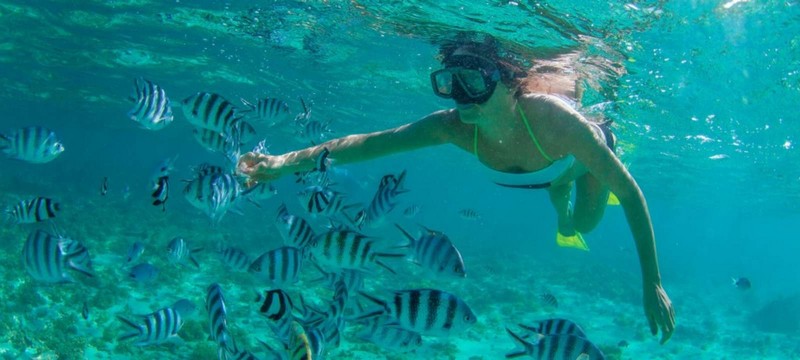 Wanderlust Tips | Explore Los Cabos marine life with 5 fatastic water activities