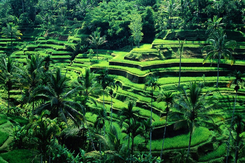 Wanderlust Tips | Bali – An incredible destination that no traveler can miss!