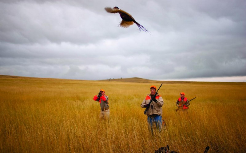 Wanderlust Tips | Waterfowl hunting in North Dakota