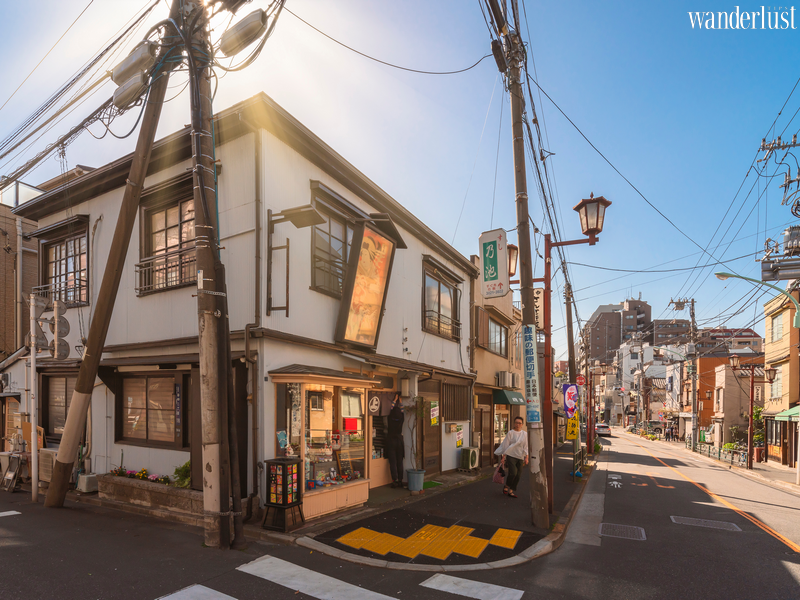 The secret culinary of hidden gems restaurants in Tokyo, Japan | Wanderlust Tips