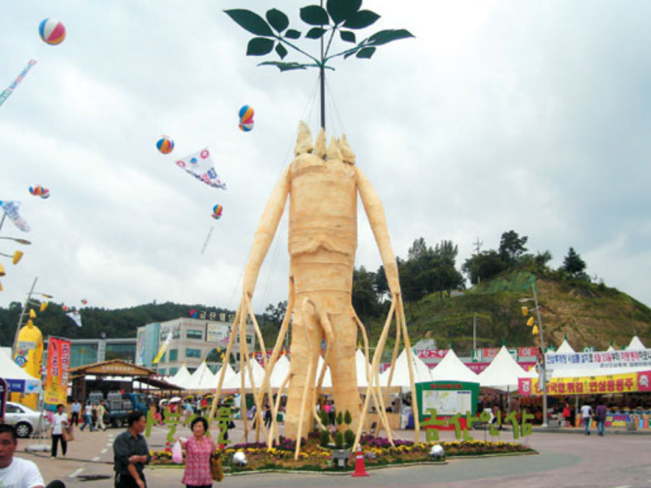 Wanderlust Tips - [Attend the world's largest fall ginseng festival in Korea]
