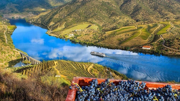 Photo: Portugal By Wine