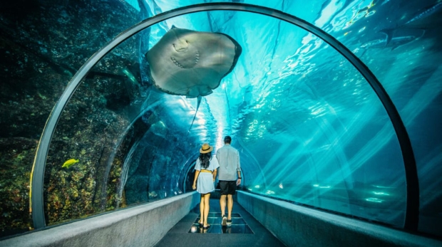 (Wanderlust Tips) National Aquarium, Abu Dhabi A wonderful home to more than 46,000 creatures