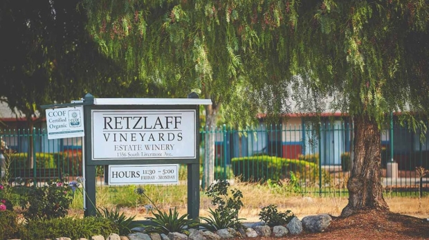 Photo: Retzlaff Vineyards