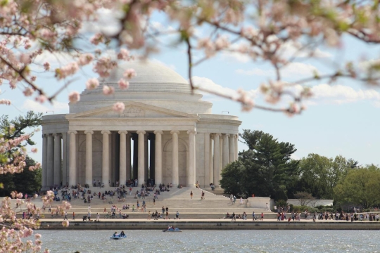 Washington D.C. Cherry Blossom Season 2026