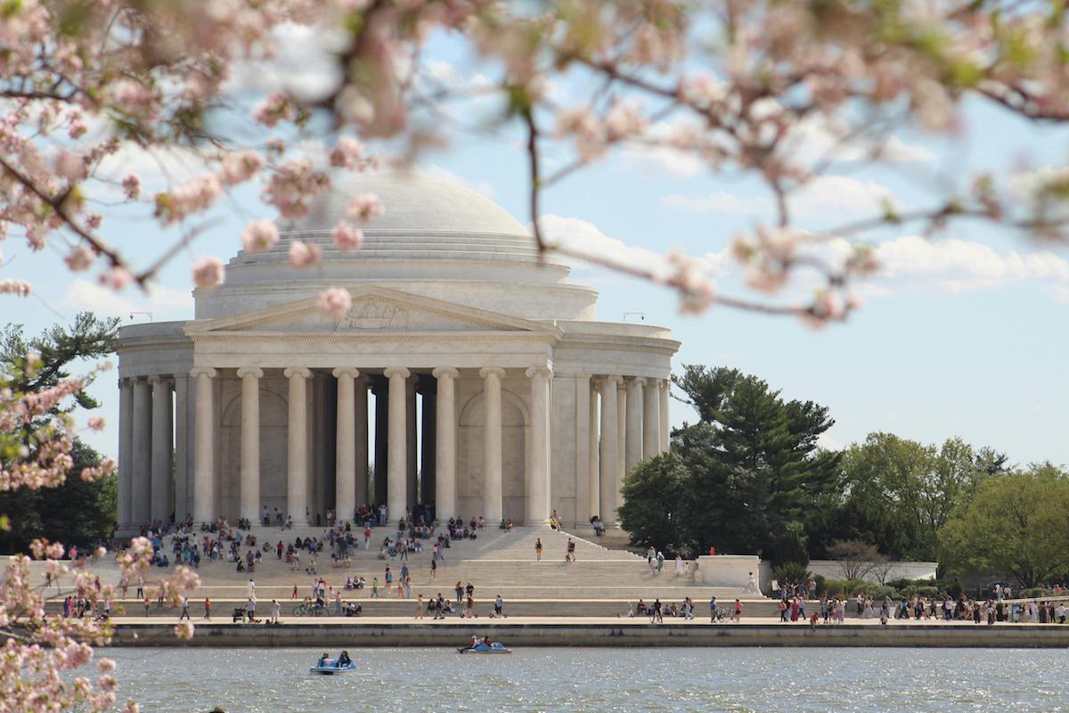 Washington D.C. Cherry Blossom Season 2026