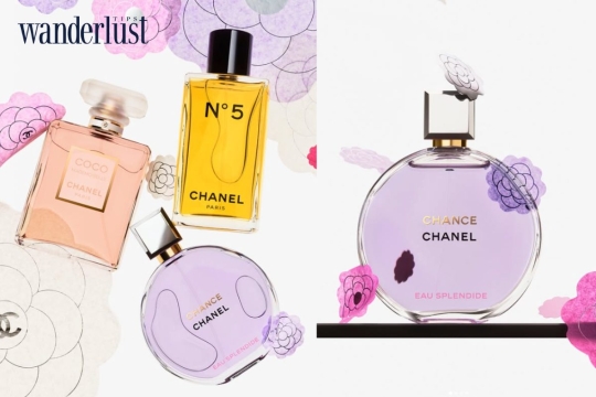 Perfume Concentrations: The Truth About Longevity and Classic Myths