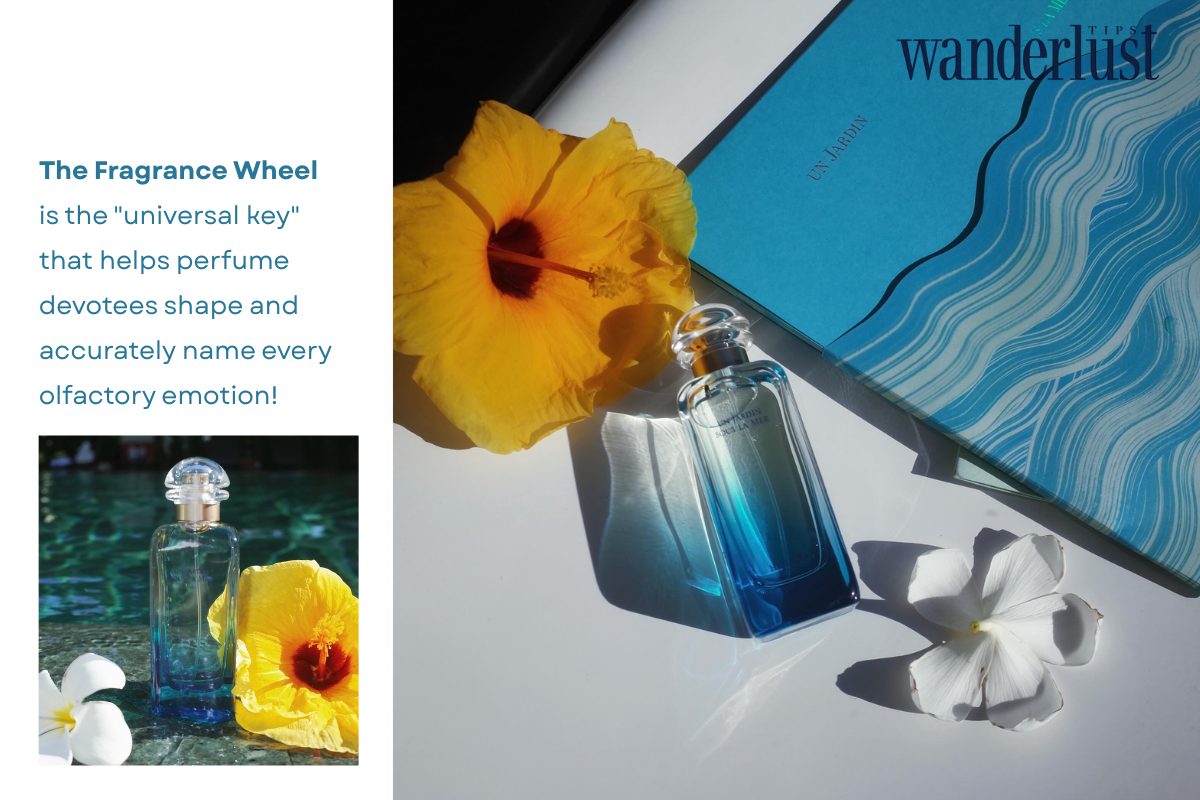 The Fragrance Wheel Decoding Luxury Scents