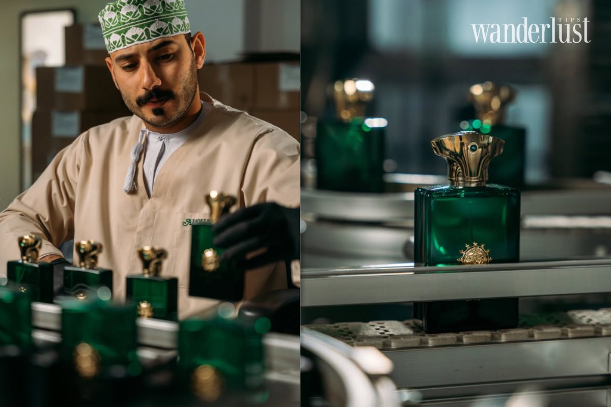 Home Fragrance Preservation: The Art of Eternalizing Scents