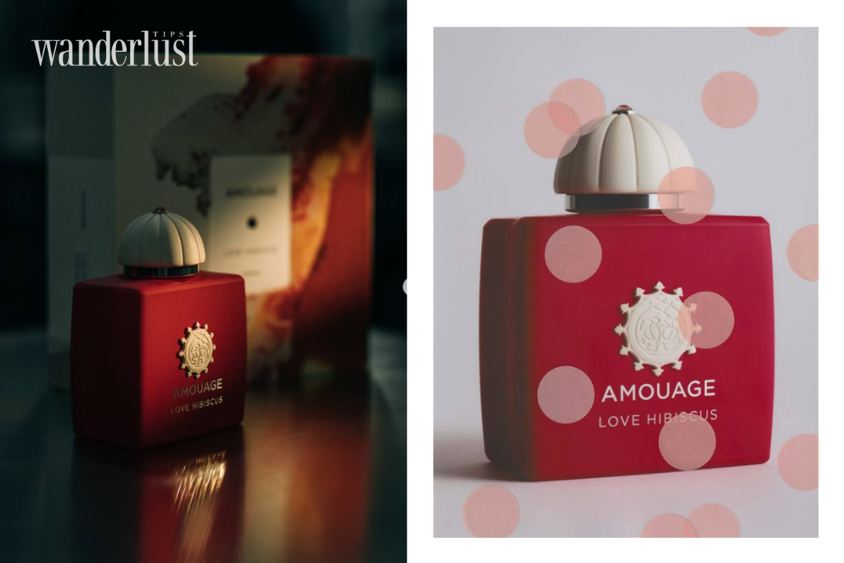 Home Fragrance Preservation The Art of Eternalizing Scents