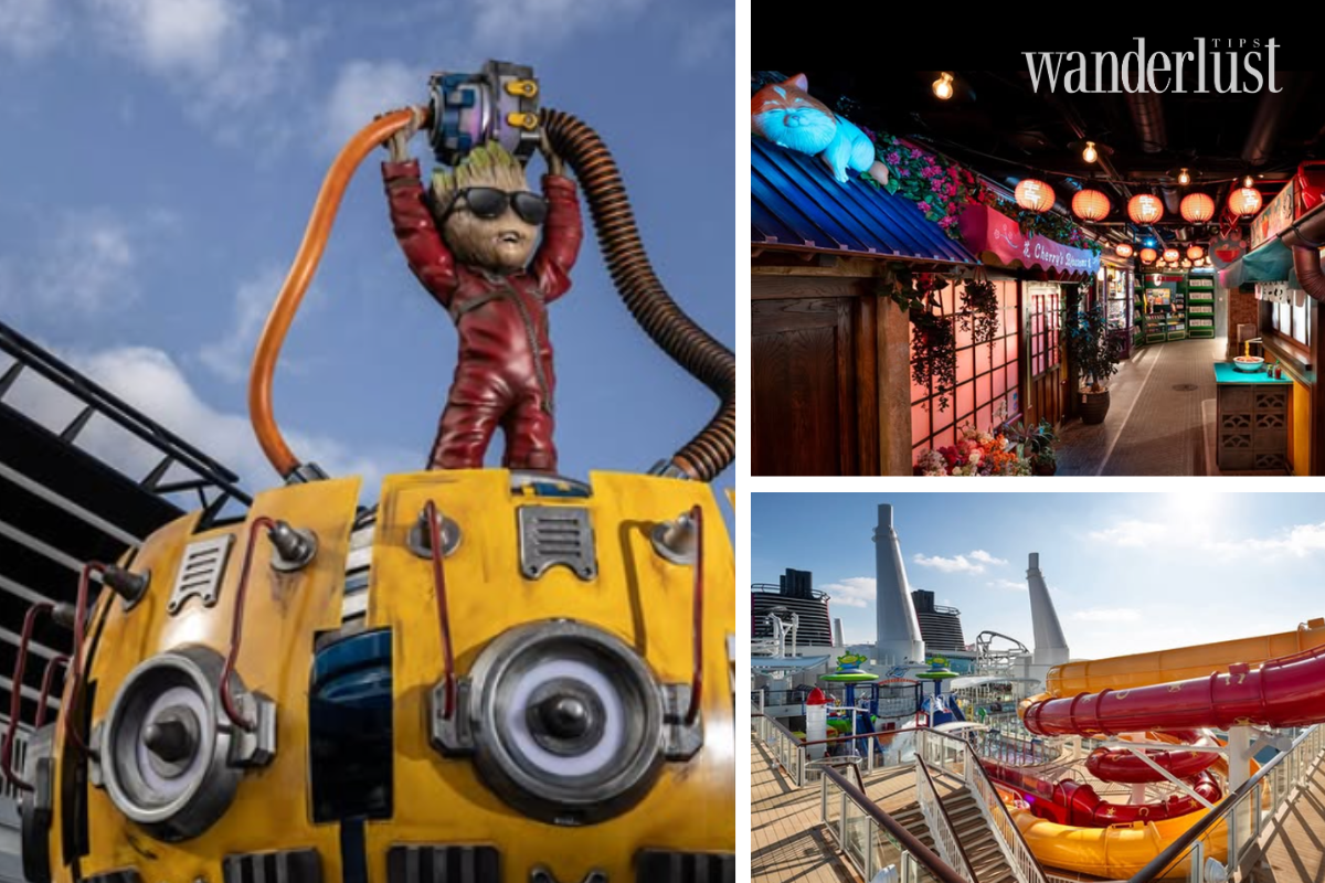 Mapping the Titans of the Sea Disney Cruise Line and Royal Caribbean