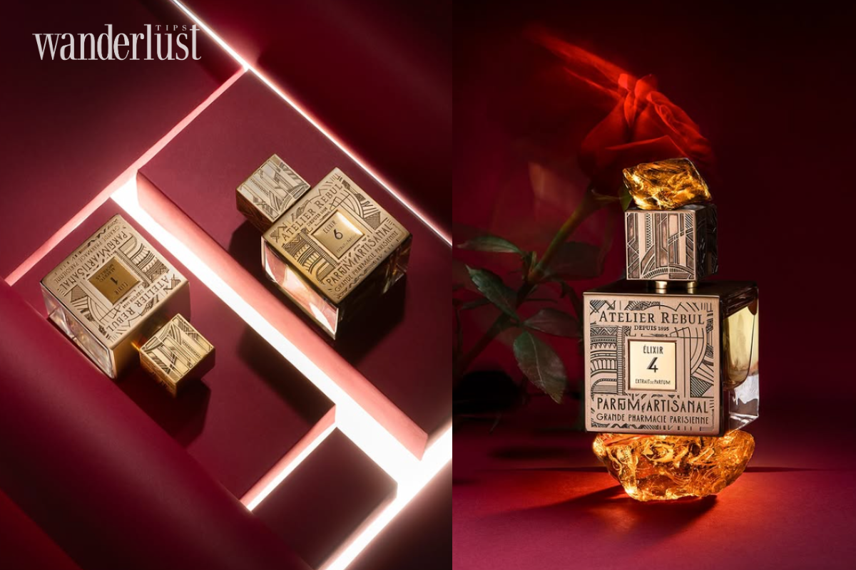 Perfume and Climate The Art of Seasonal Olfactory Curation