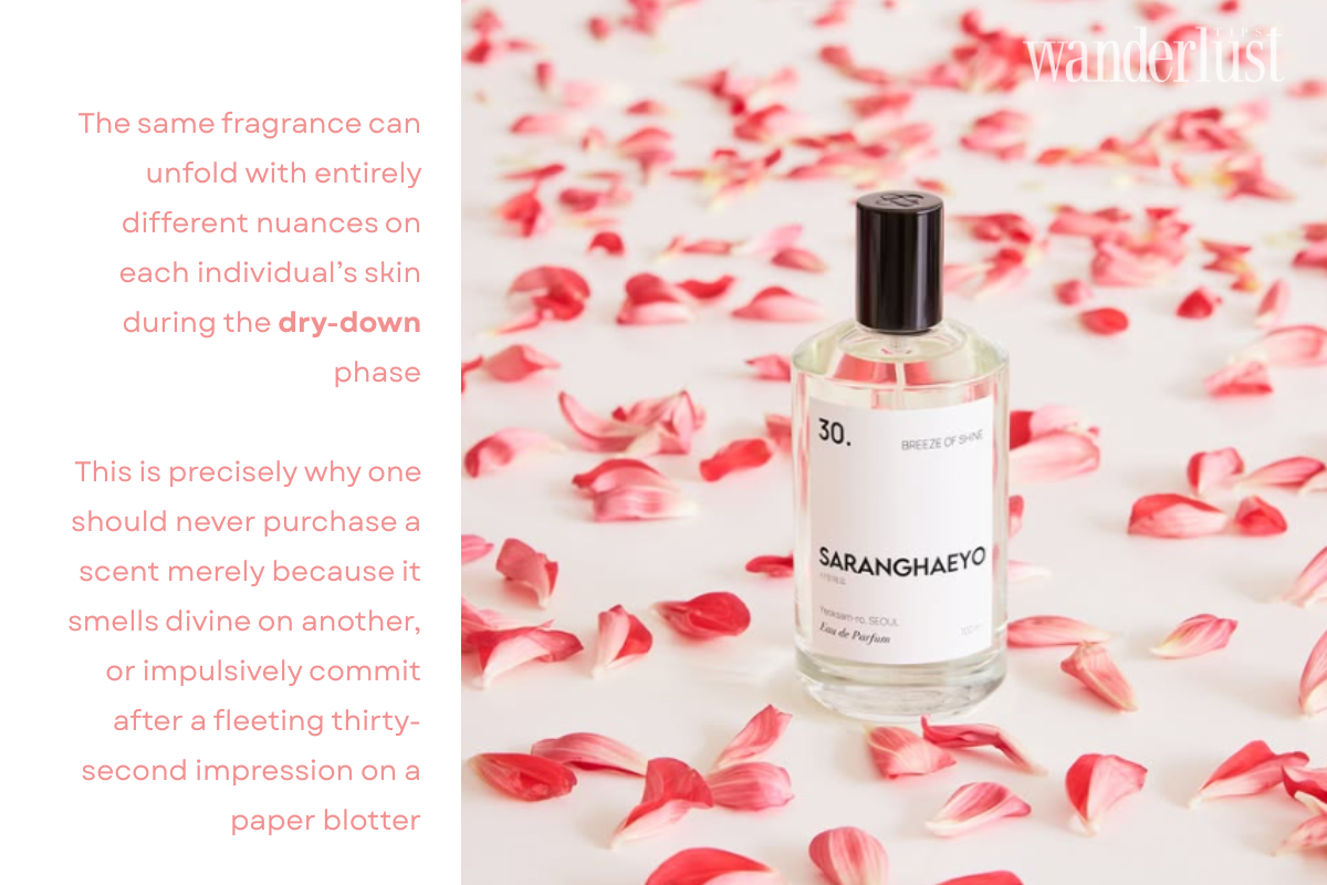 The Olfactory Symphony The Art of the Scent Pyramid