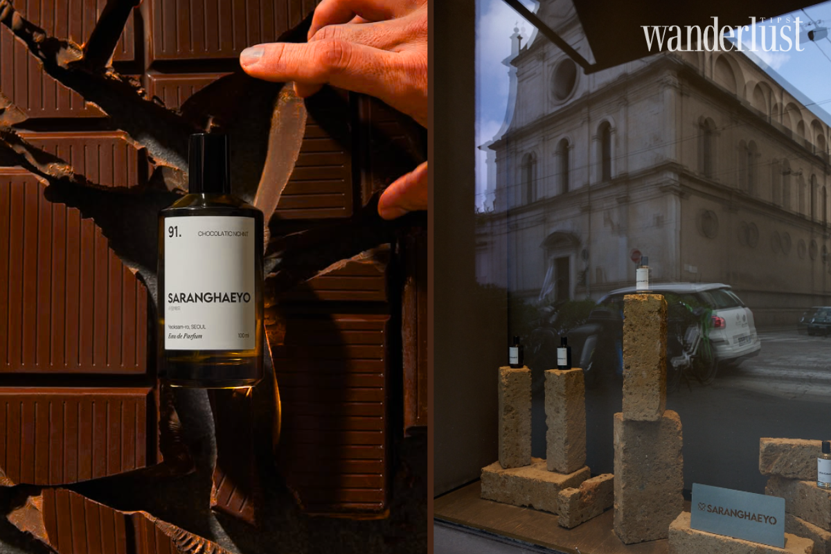 The Olfactory Symphony The Art of the Scent Pyramid