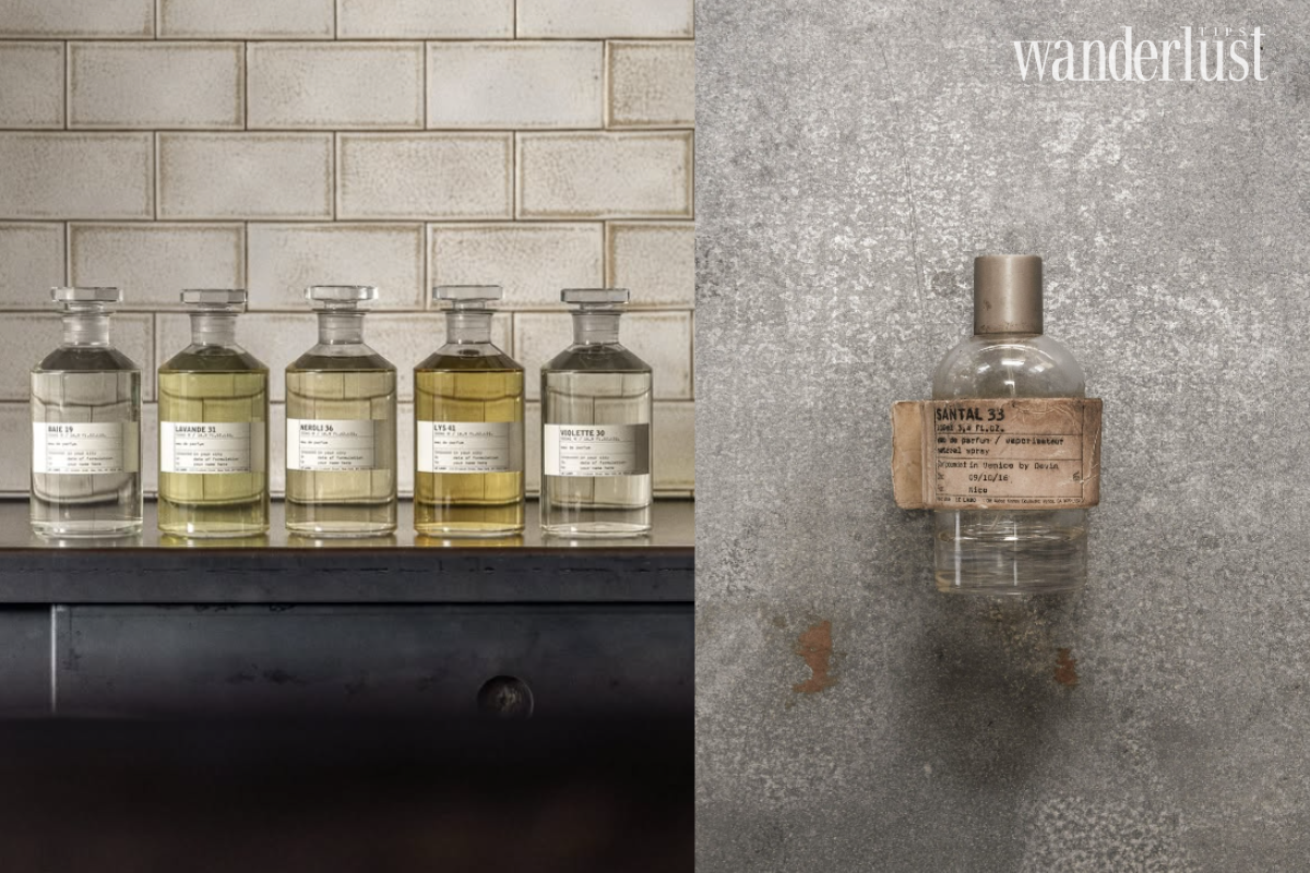 Designer vs. Niche Perfumery The Art of the Understated