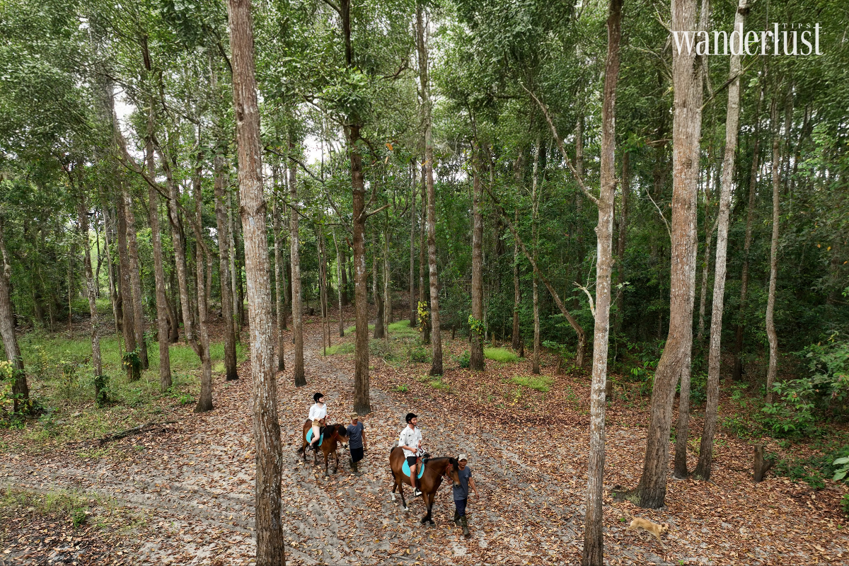 Tran Tuan Vinh Inside the Sustainability Philosophy of Angsana & Dhawa Ho Tram
