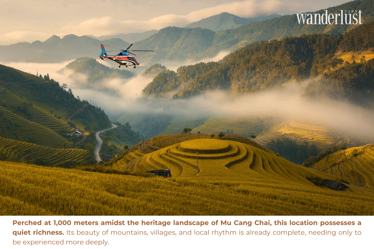 Whispers of the Forest Beneath Mù Cang Chải’s Bamboo Roof