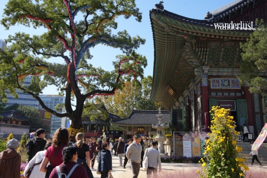 Healing the Mind in the Heart of Seoul